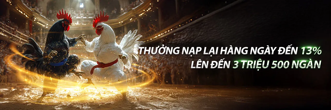 Hình ảnh tổng quan về xu hướng giải trí trực tuyến tại MK Sport